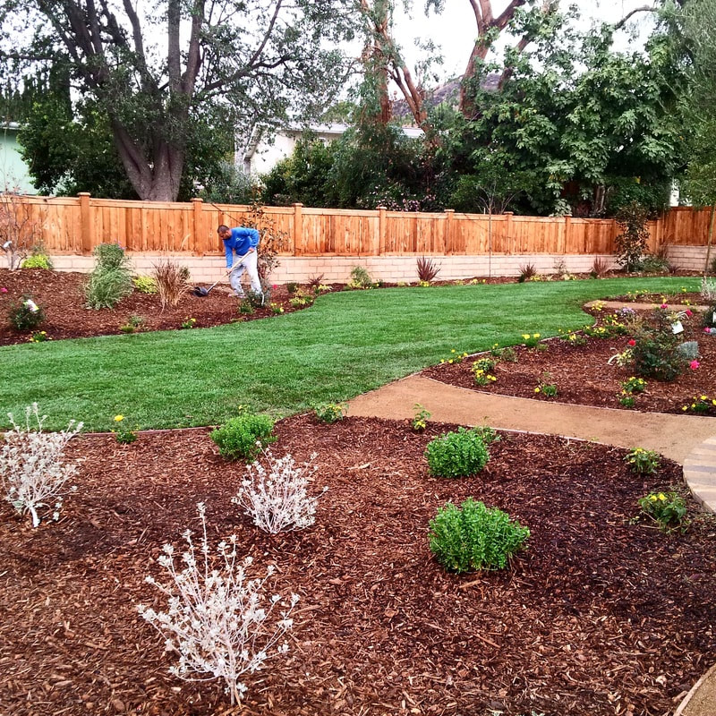 Full Yard Landscaping, Aurora, Colorado