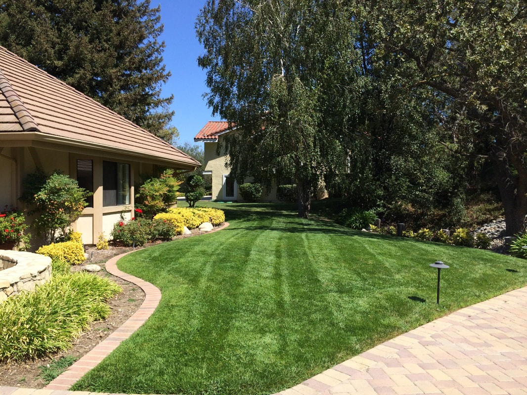 Front-Yard Lawn, Littleton, Colorado
